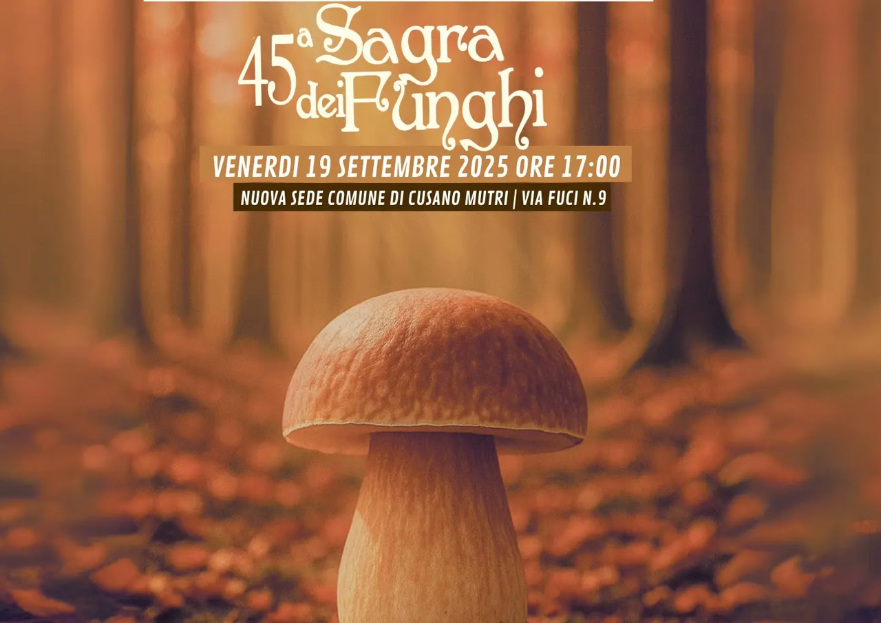 Sagra dei Funghi Porcini